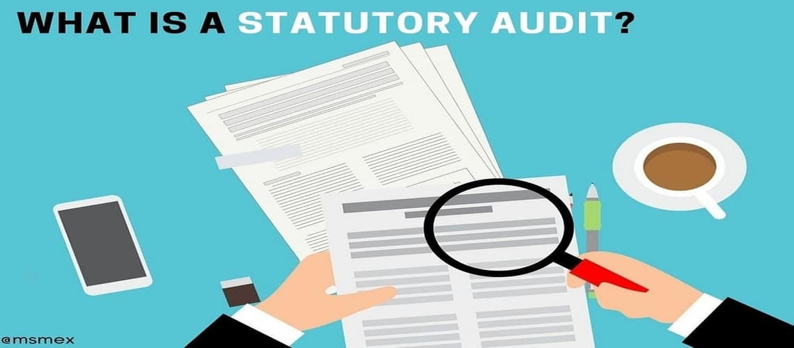 Statutory audit