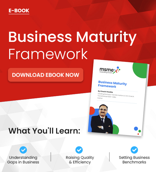 Business Maturity Framework